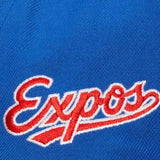 Montreal Expos Evergreen Pro Mitchell & Ness Snapback Royal The Capital PTBO