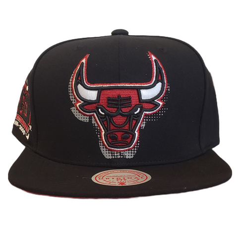 Chicago Bulls NBA Big Face 7.0 patch Snapback HWC Mitchell and Ness
