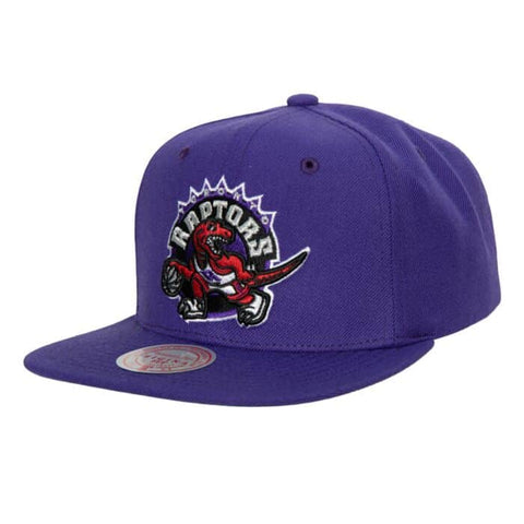 Toronto Raptors purple retro logo Team Ground 2.0 Mitchell and Ness snapback The Capital PTBO