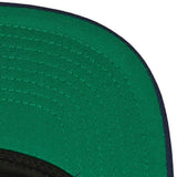 St. Louis Cardinals Evergreen Pro Mitchell & Ness Snapback with Kelly green undervisor Navy The Capital PTBO