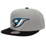 Toronto Blue Jays Mitchell and Ness Cooperstown Snapback The Capital PTBO Peterborough