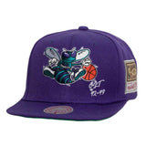 Charlotte Hornets Mitchell and Ness NBA The Capital PTBO