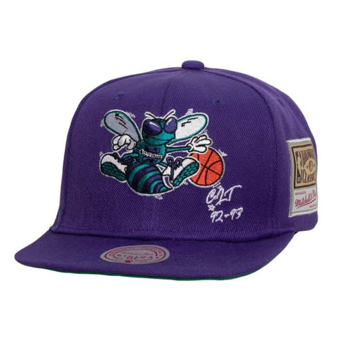 Charlotte Hornets Mitchell and Ness NBA The Capital PTBO
