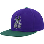 Milwaukee Bucks purple and green cap Mitchell and Ness Capital PTBO