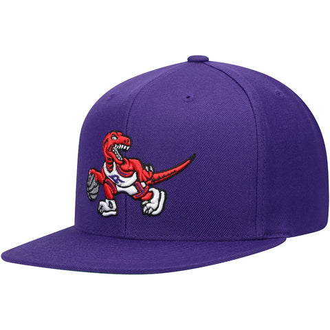 Toronto Raptors Purple with red dino snapback and Kelly green undervisor The Capital PTBO 